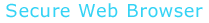 Secure Web Browser